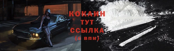 прущие грибы Карабаш
