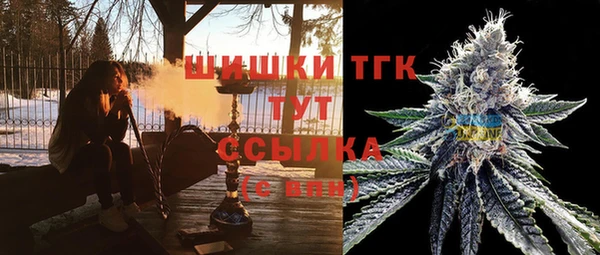 ешки Туринск
