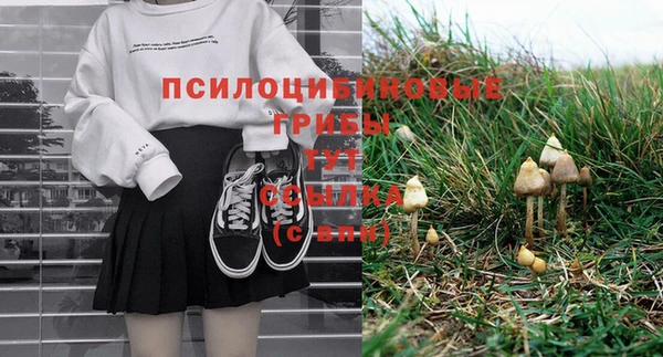 ешки Туринск