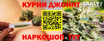 гашик Волжск