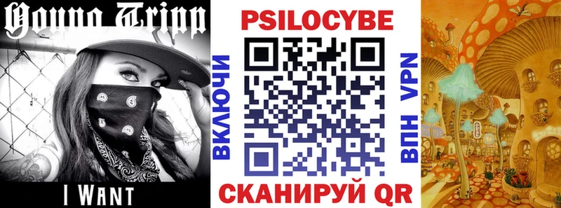Галлюциногенные грибы мицелий  Богородск 