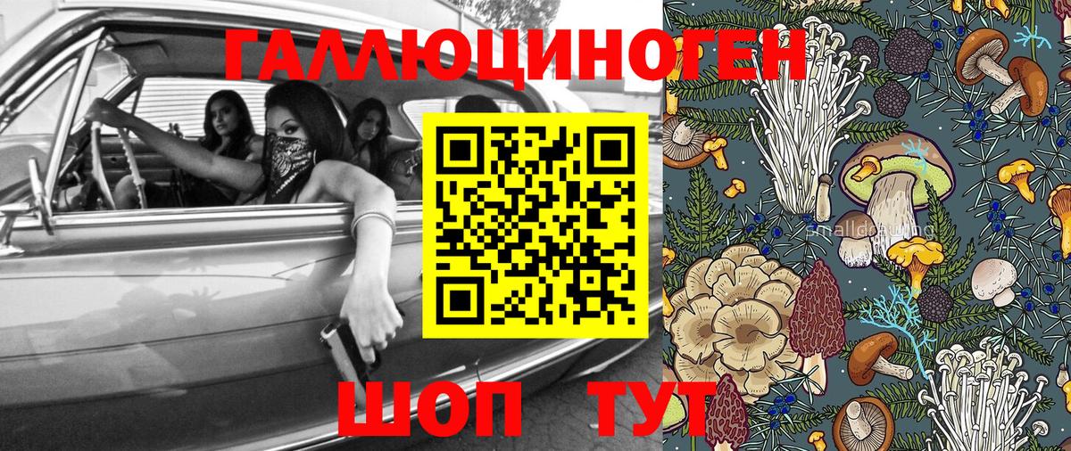 Галлюциногенные грибы MAGIC MUSHROOMS  купить наркотик  Богородск 