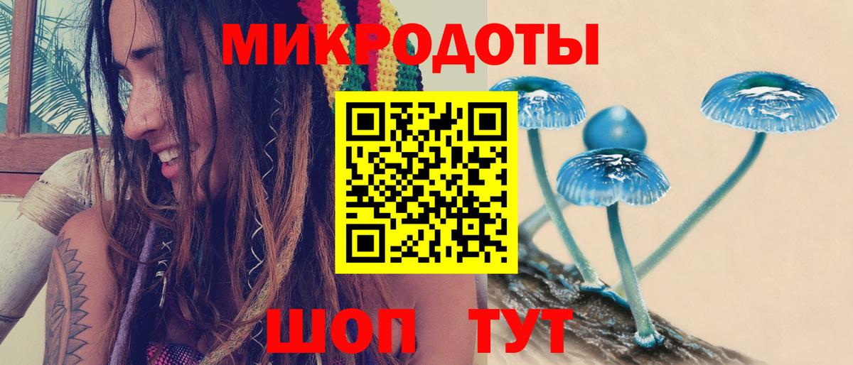 Богородск  Псилоцибиновые грибы MAGIC MUSHROOMS  Вход с VPN 